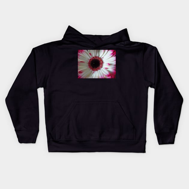 wonderful gerbera flower, pink,white Kids Hoodie by rh_naturestyles